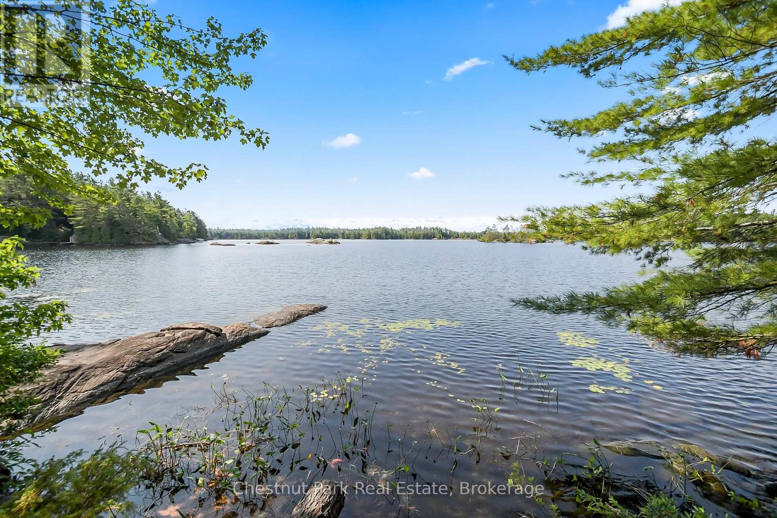 1037 Fire Route 20g, Gravenhurst, Ontario  P1P 1R3 - Photo 29 - X12322103