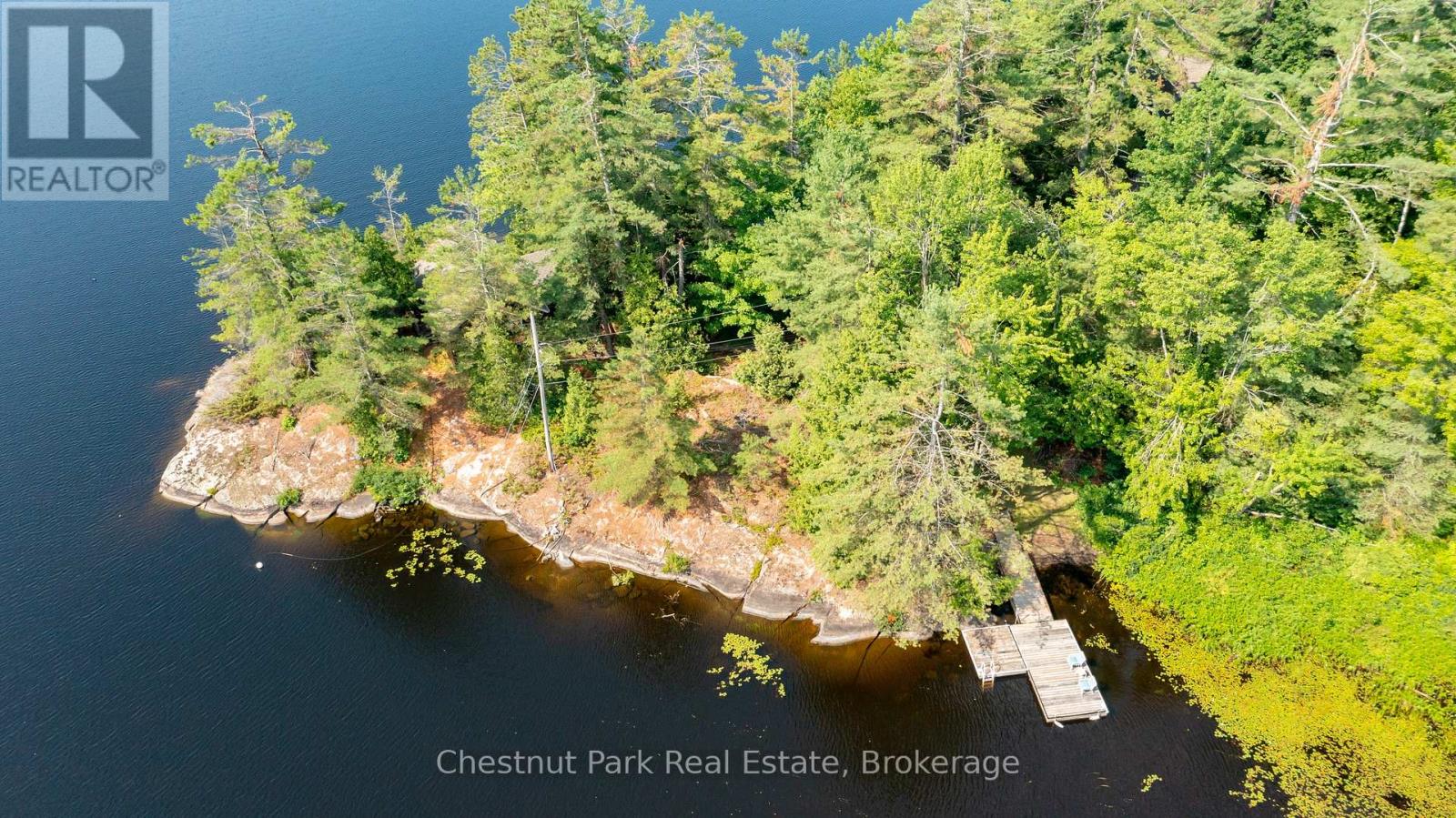 1037 Fire Route 20g, Gravenhurst, Ontario  P1P 1R3 - Photo 46 - X12322103