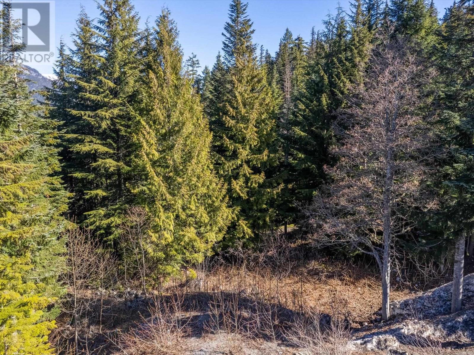 2938 Heritage Peaks Trail, Whistler, British Columbia  V8E 0L6 - Photo 9 - R2878890