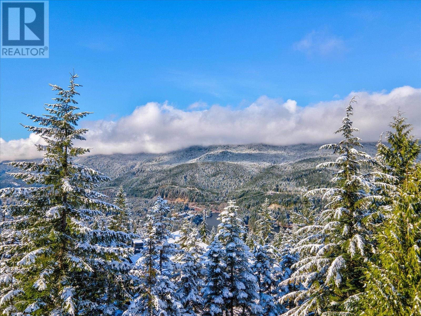 2938 Heritage Peaks Trail, Whistler, British Columbia  V8E 0L6 - Photo 28 - R2878890