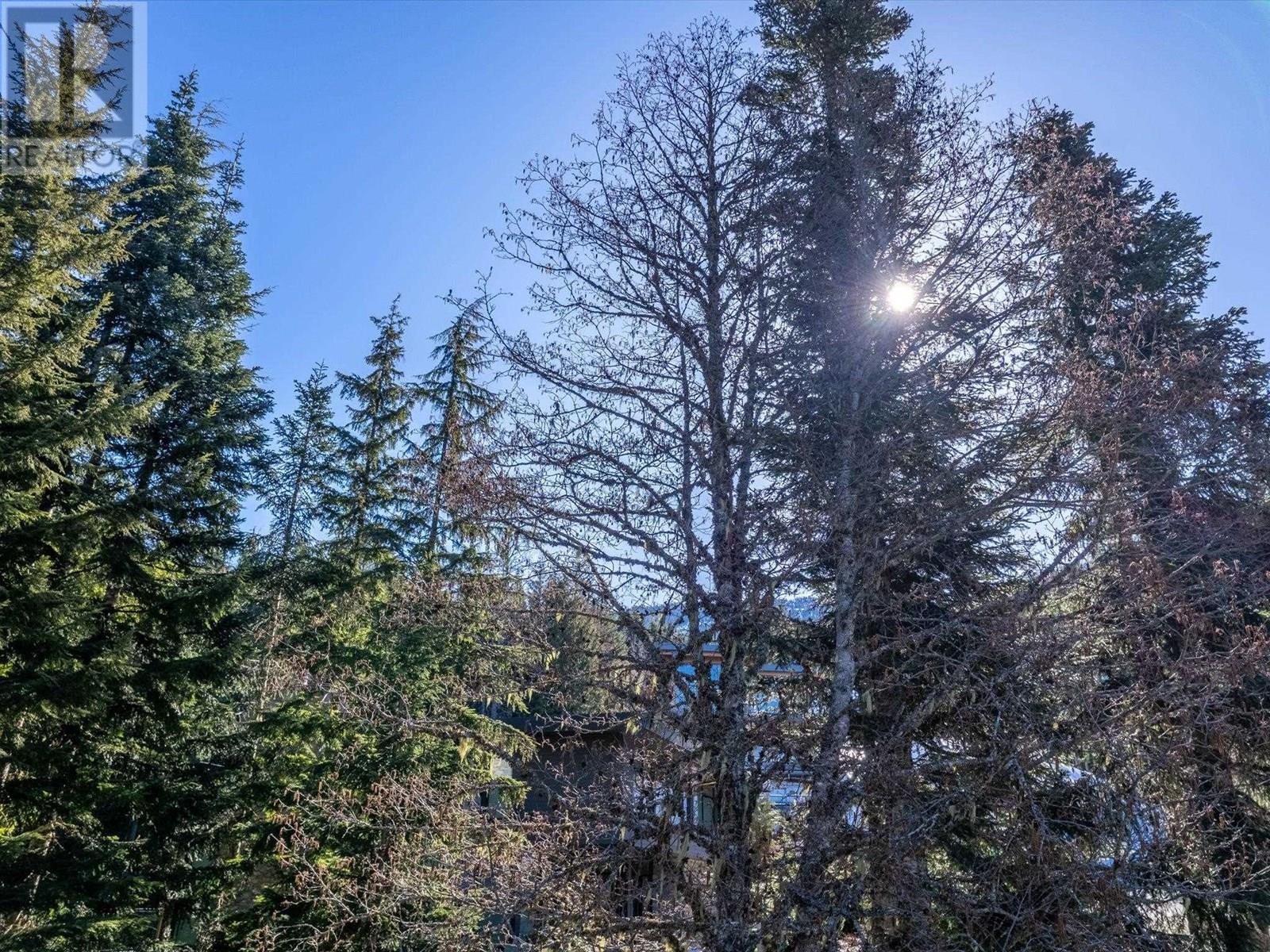 2938 Heritage Peaks Trail, Whistler, British Columbia  V8E 0L6 - Photo 8 - R2878890