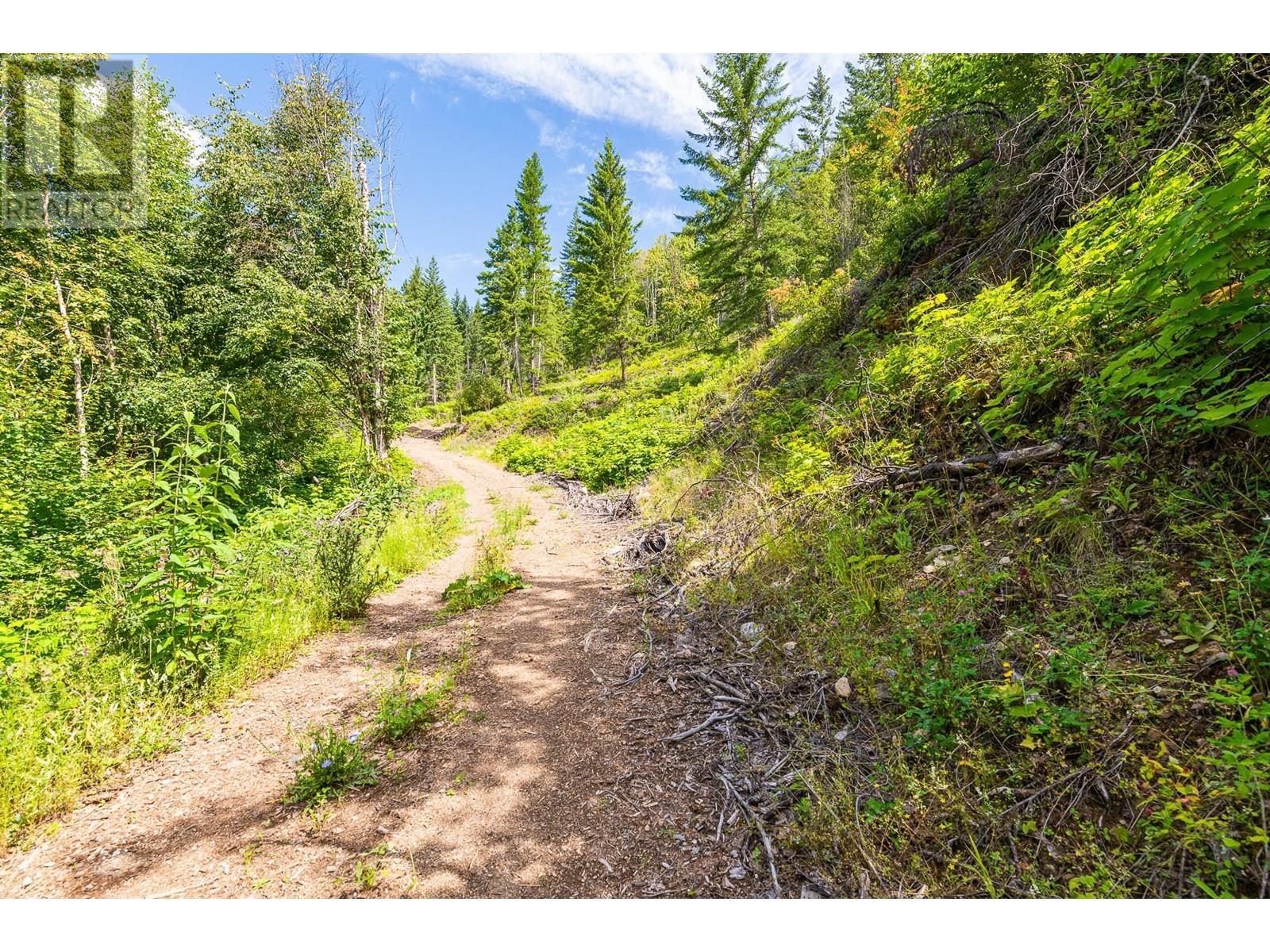 Sublot 9 Mountain Shores Road, Boswell, British Columbia  V0B 1A0 - Photo 45 - 10357404