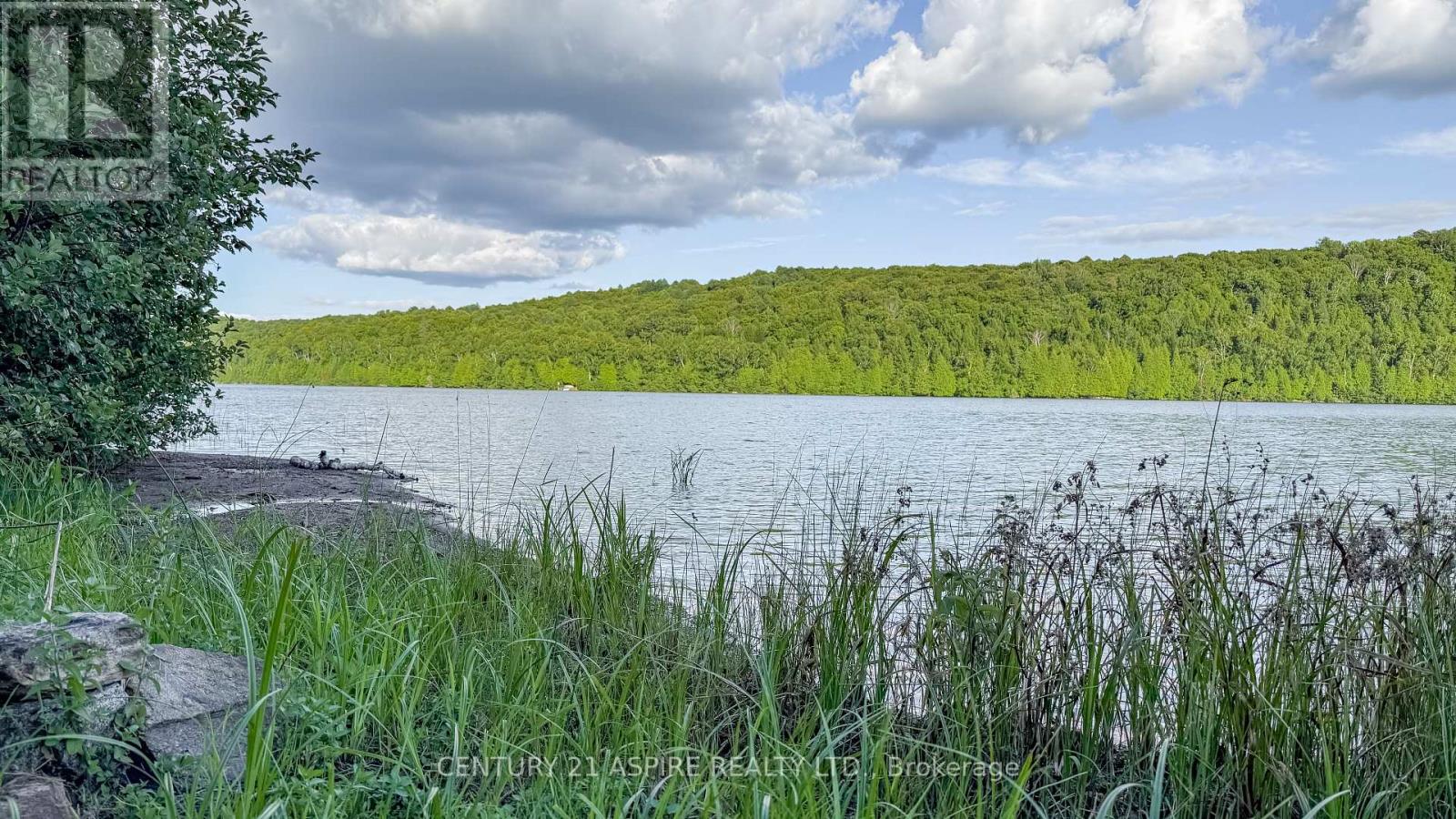 110 Pells Lane, Brudenell, Ontario  K0J 2E0 - Photo 24 - X12316366