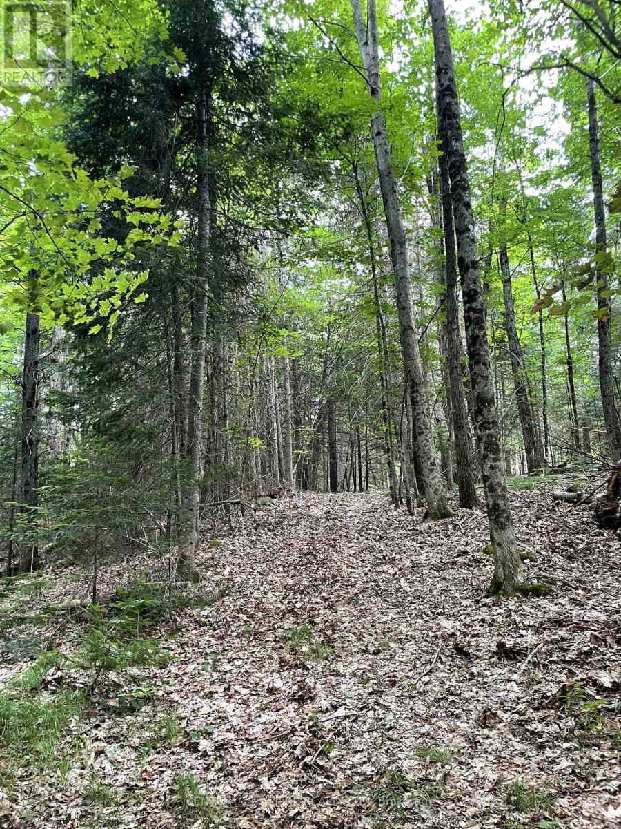 110 Pells Lane, Brudenell, Ontario  K0J 2E0 - Photo 18 - X12316366