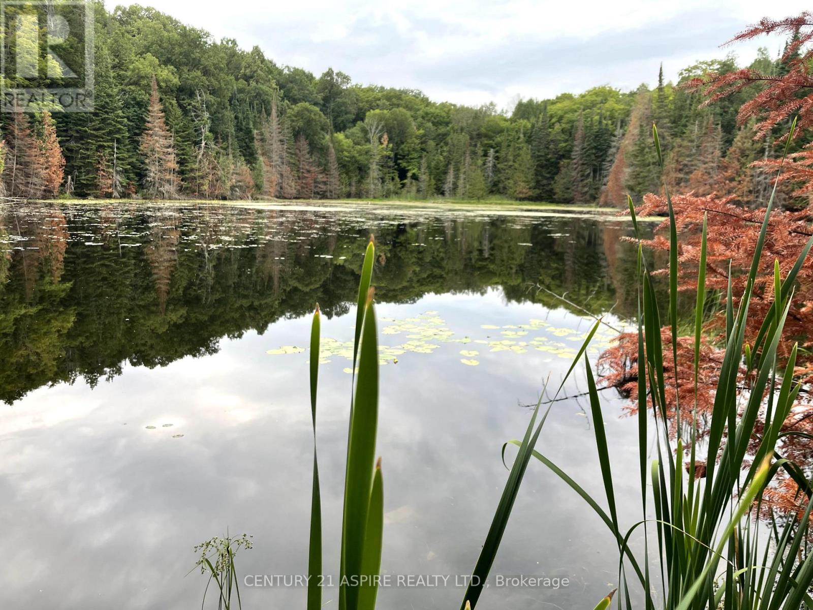 110 Pells Lane, Brudenell, Ontario  K0J 2E0 - Photo 12 - X12316366