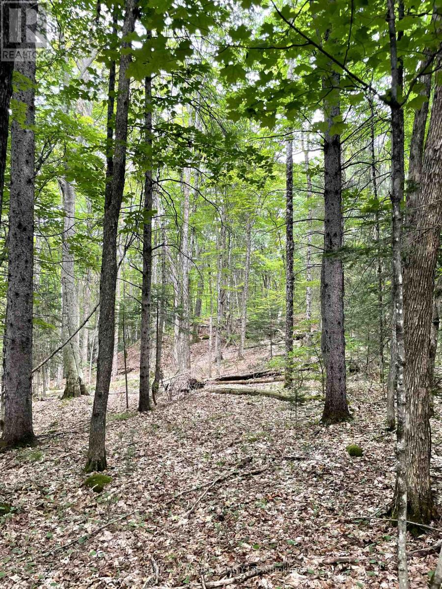 110 Pells Lane, Brudenell, Ontario  K0J 2E0 - Photo 15 - X12316366