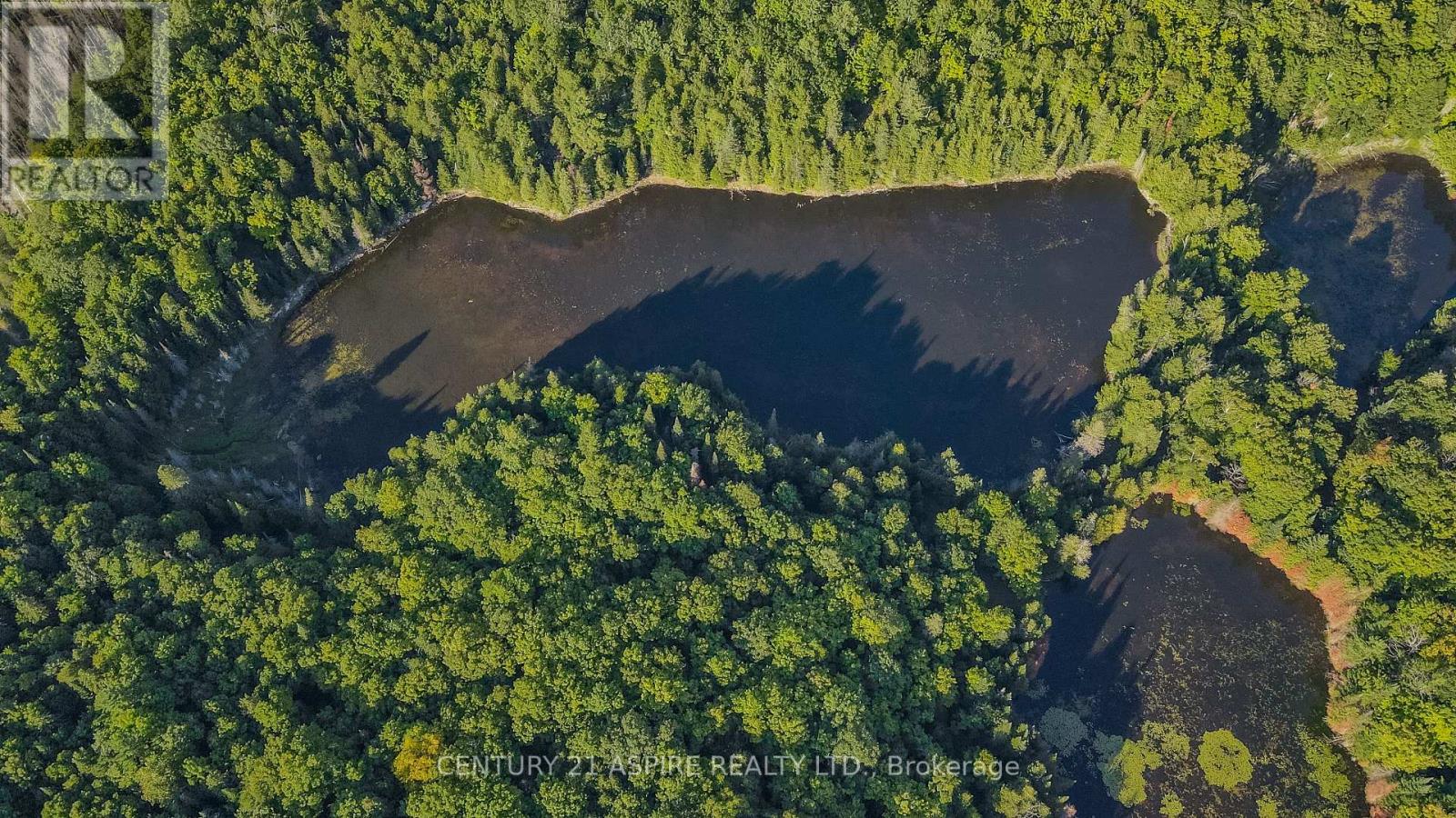 110 Pells Lane, Brudenell, Ontario  K0J 2E0 - Photo 21 - X12316366