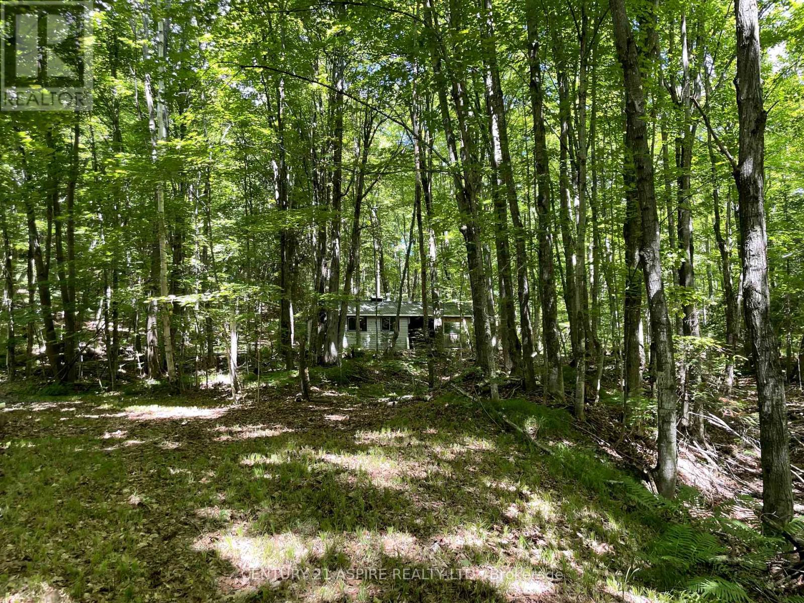 110 Pells Lane, Brudenell, Ontario  K0J 2E0 - Photo 19 - X12316366