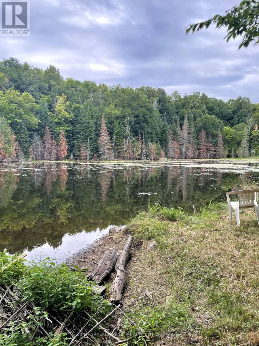 110 Pells Lane, Brudenell, Ontario  K0J 2E0 - Photo 14 - X12316366