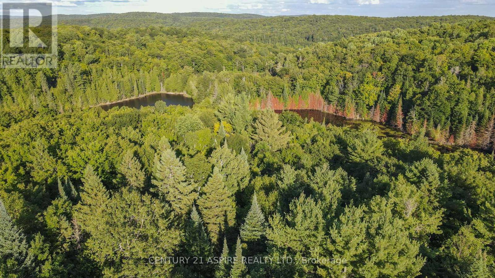 110 Pells Lane, Brudenell, Ontario  K0J 2E0 - Photo 26 - X12316366