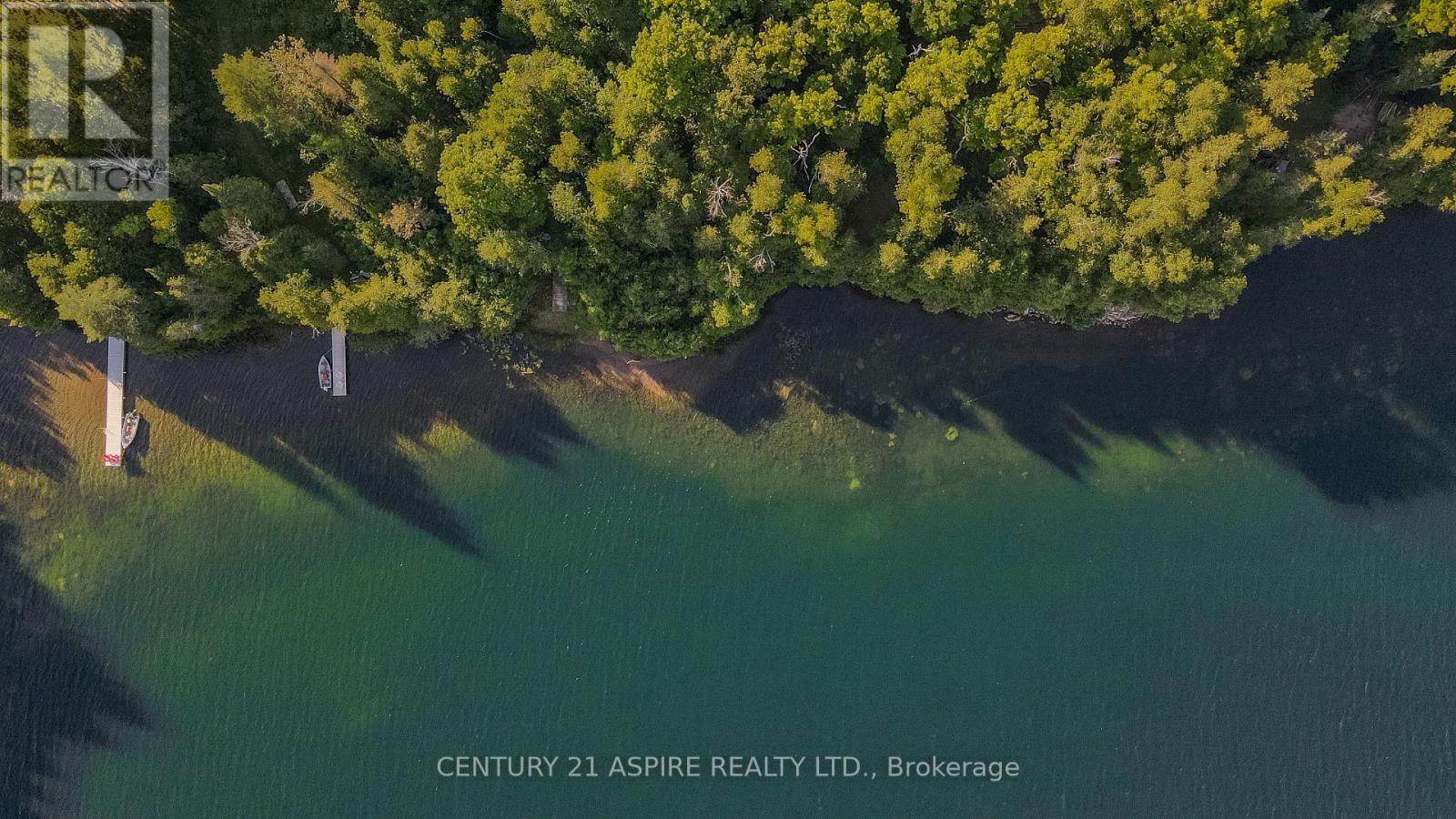 110 Pells Lane, Brudenell, Ontario  K0J 2E0 - Photo 5 - X12316366