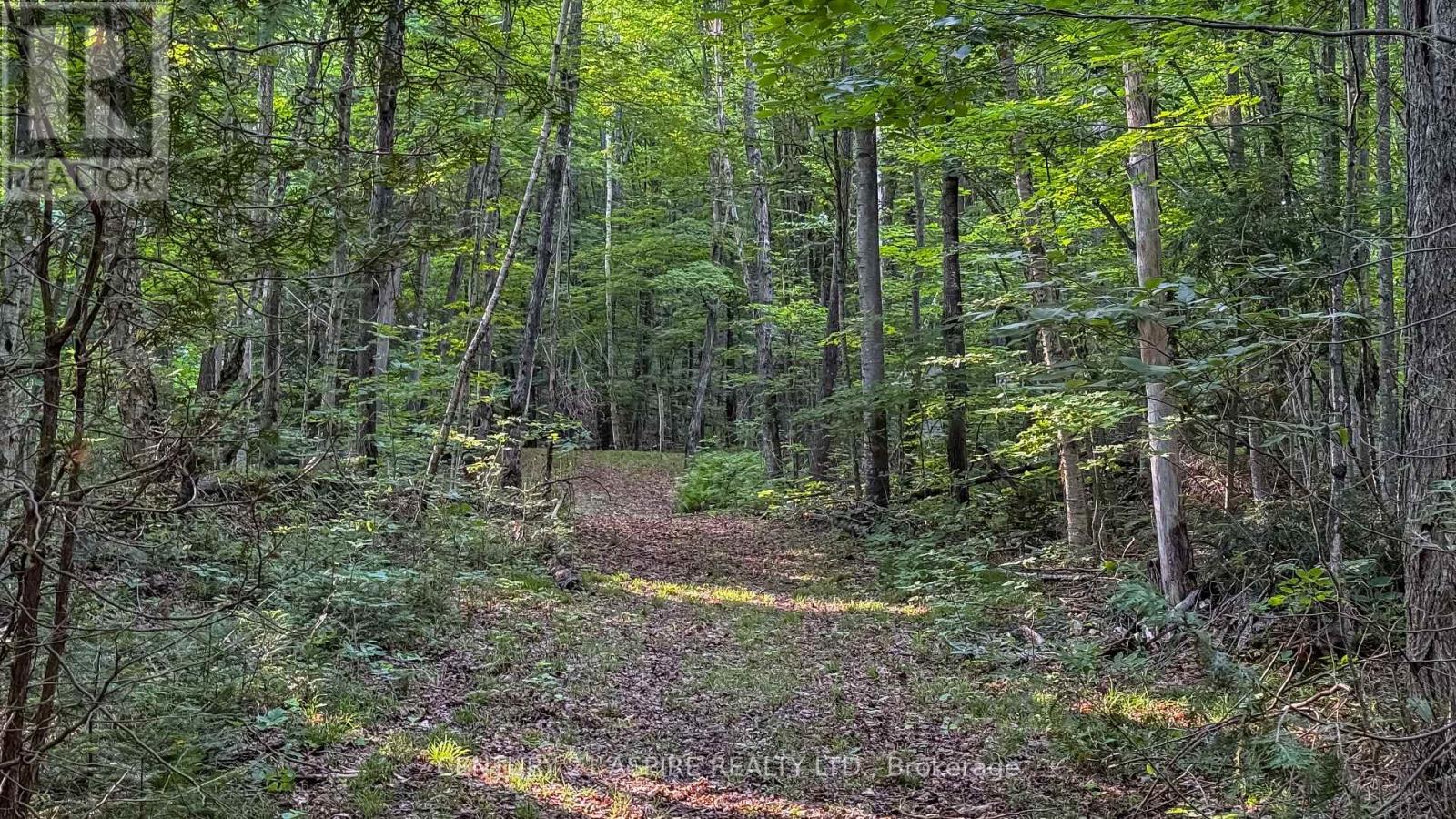 110 Pells Lane, Brudenell, Ontario  K0J 2E0 - Photo 31 - X12316366