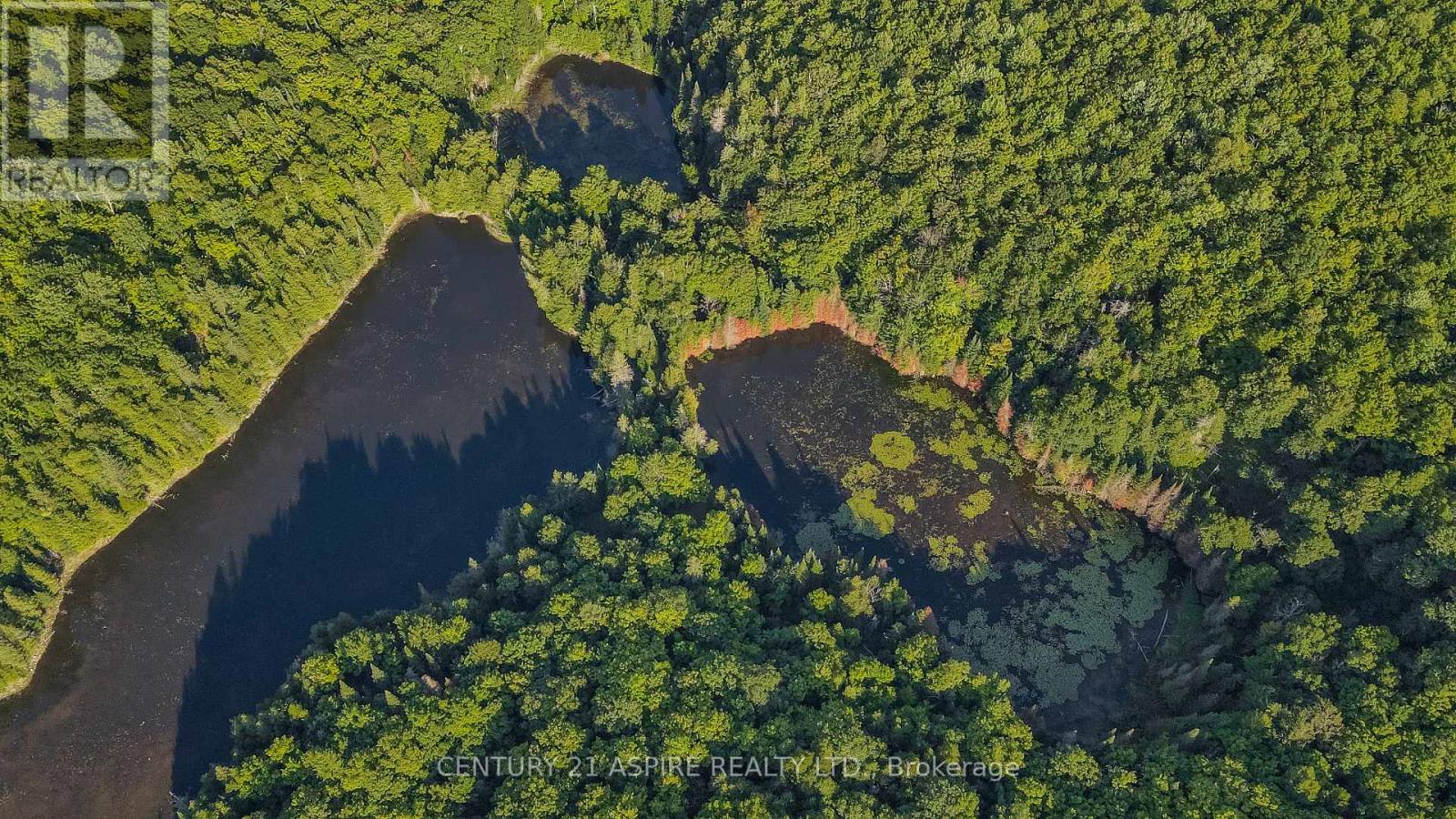 110 Pells Lane, Brudenell, Ontario  K0J 2E0 - Photo 25 - X12316366