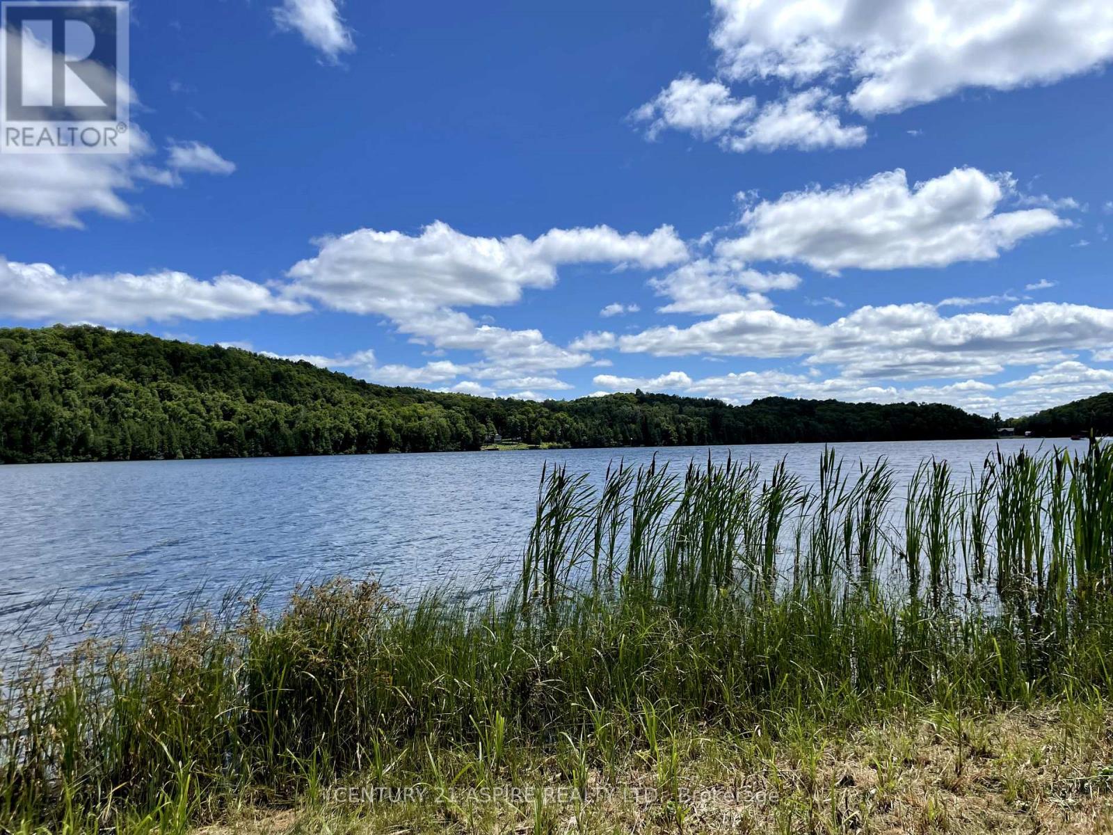 110 Pells Lane, Brudenell, Ontario  K0J 2E0 - Photo 6 - X12316366