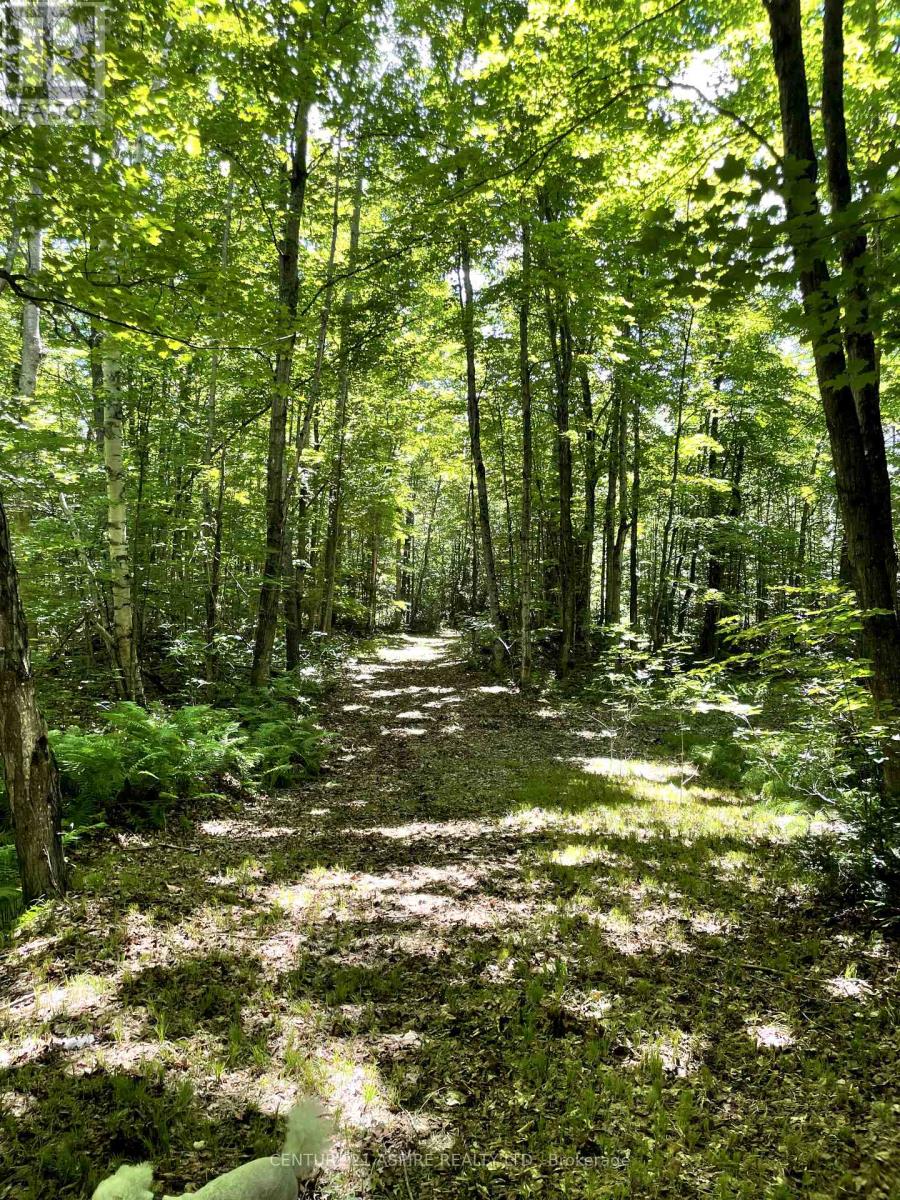 110 Pells Lane, Brudenell, Ontario  K0J 2E0 - Photo 9 - X12316366