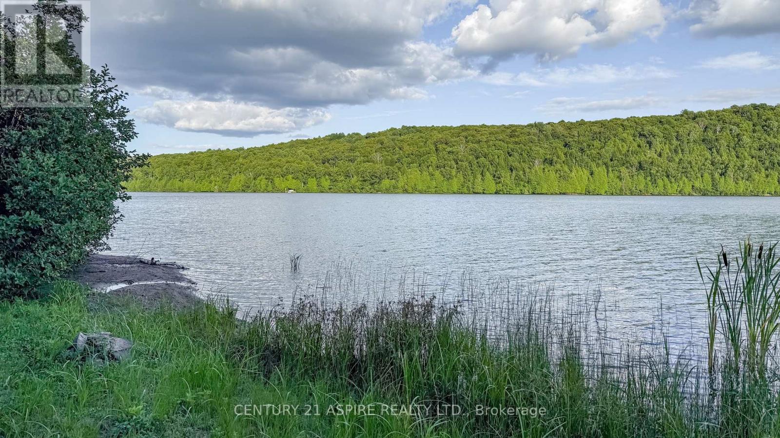 110 Pells Lane, Brudenell, Ontario  K0J 2E0 - Photo 4 - X12316366