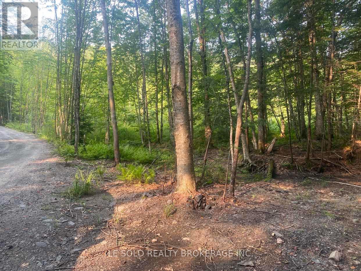 Lot # 7 - 1310 Camel Lake Road, Muskoka Lakes, Ontario  P1L 1X4 - Photo 3 - X12322244