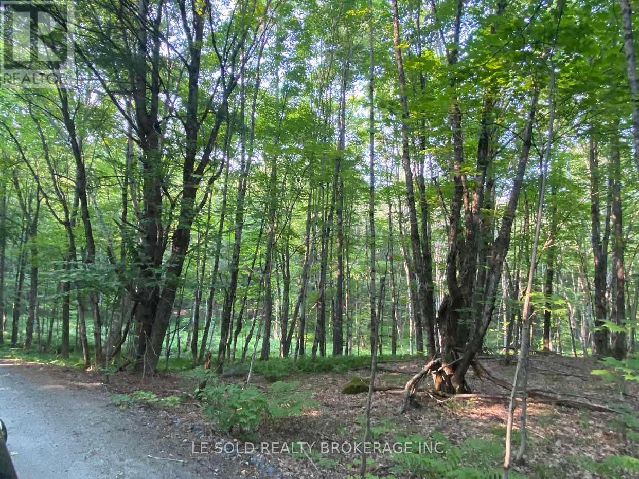 Lot # 7 - 1310 Camel Lake Road, Muskoka Lakes, Ontario  P1L 1X4 - Photo 4 - X12322244