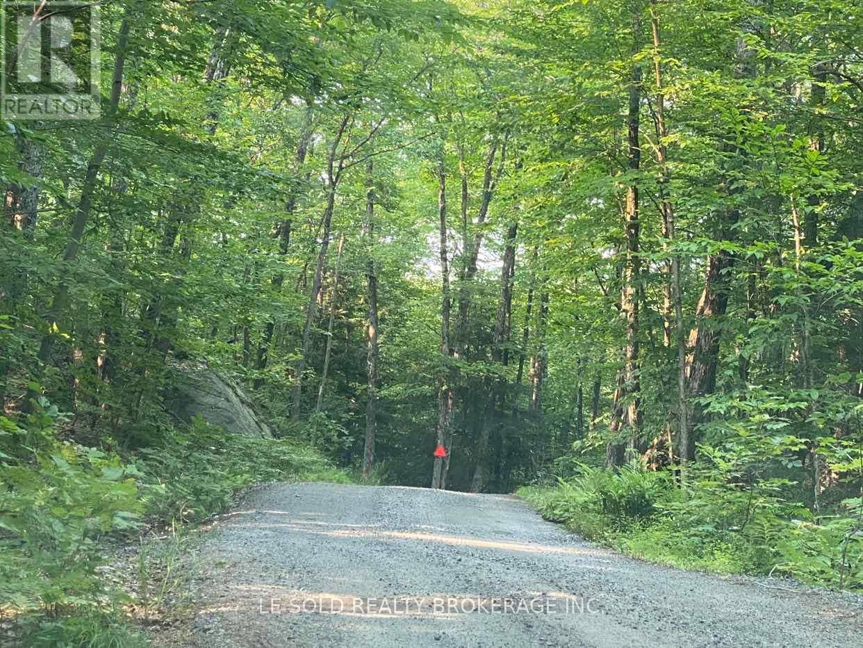 Lot # 7 - 1310 Camel Lake Road, Muskoka Lakes, Ontario  P1L 1X4 - Photo 6 - X12322244
