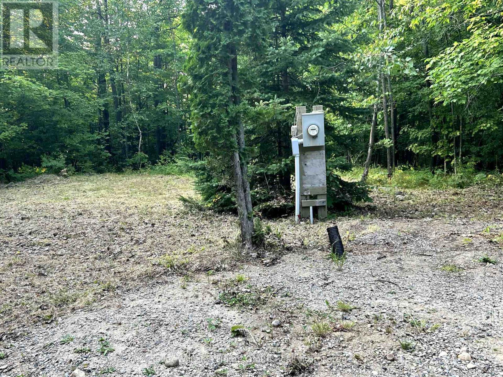 565 Moxam Road, Hastings Highlands, Ontario  K0L 2S0 - Photo 10 - X12318574