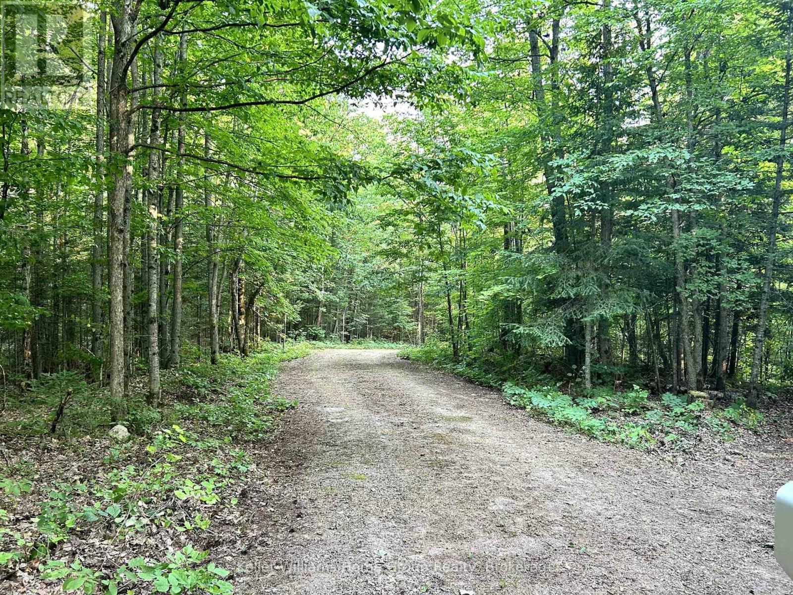 565 Moxam Road, Hastings Highlands, Ontario  K0L 2S0 - Photo 14 - X12318574