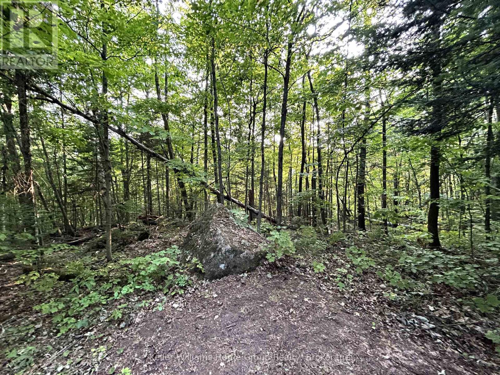 565 Moxam Road, Hastings Highlands, Ontario  K0L 2S0 - Photo 8 - X12318574