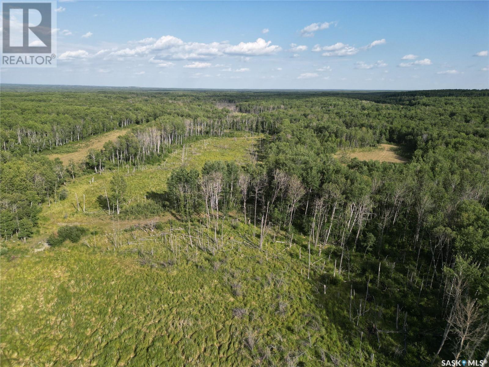 Cross-Half Section Of Pasture/recreational Land, Spiritwood Rm No. 496, Saskatchewan  S0J 2M0 - Photo 5 - SK014456