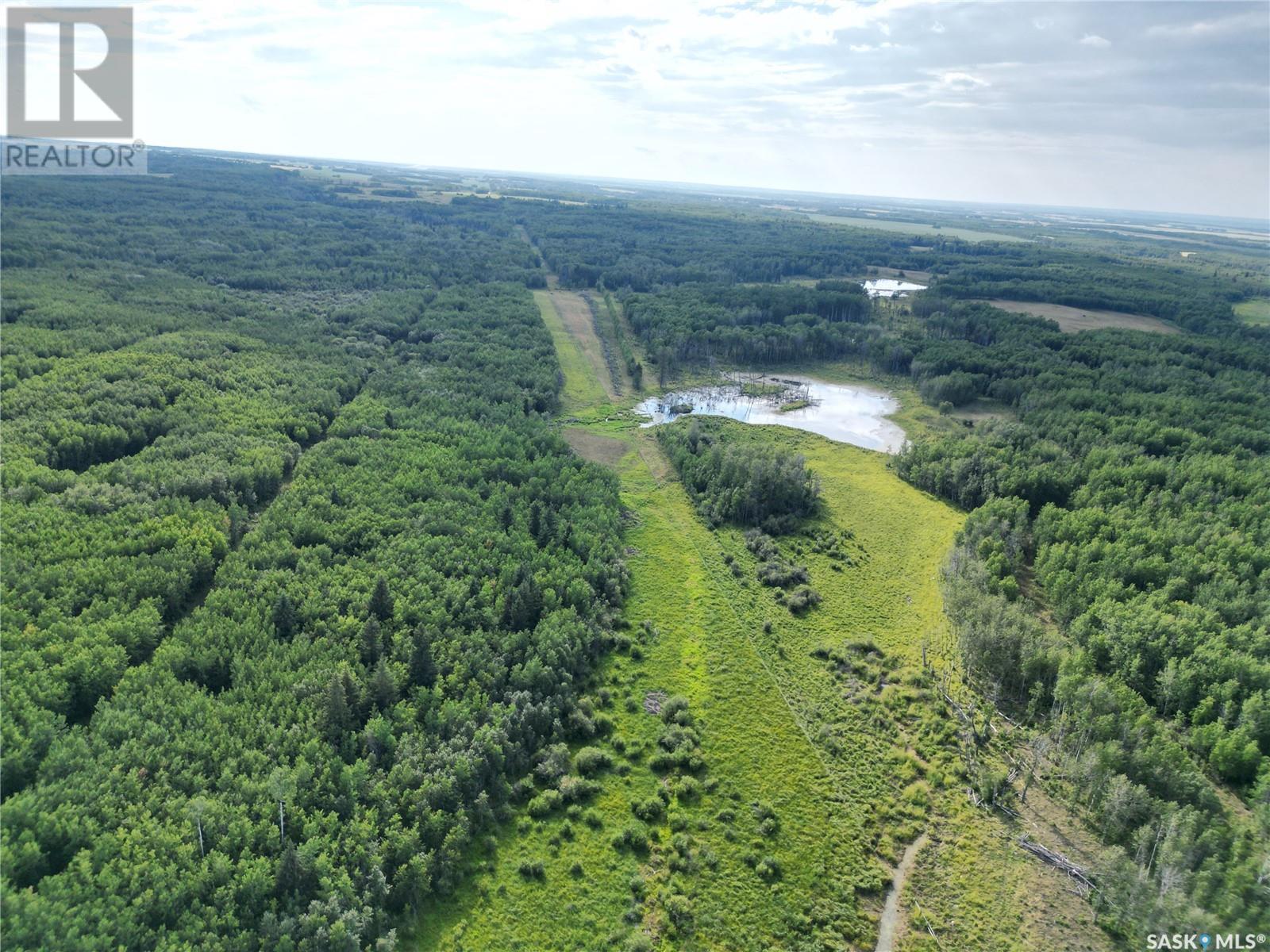 Cross-Half Section Of Pasture/recreational Land, Spiritwood Rm No. 496, Saskatchewan  S0J 2M0 - Photo 4 - SK014456