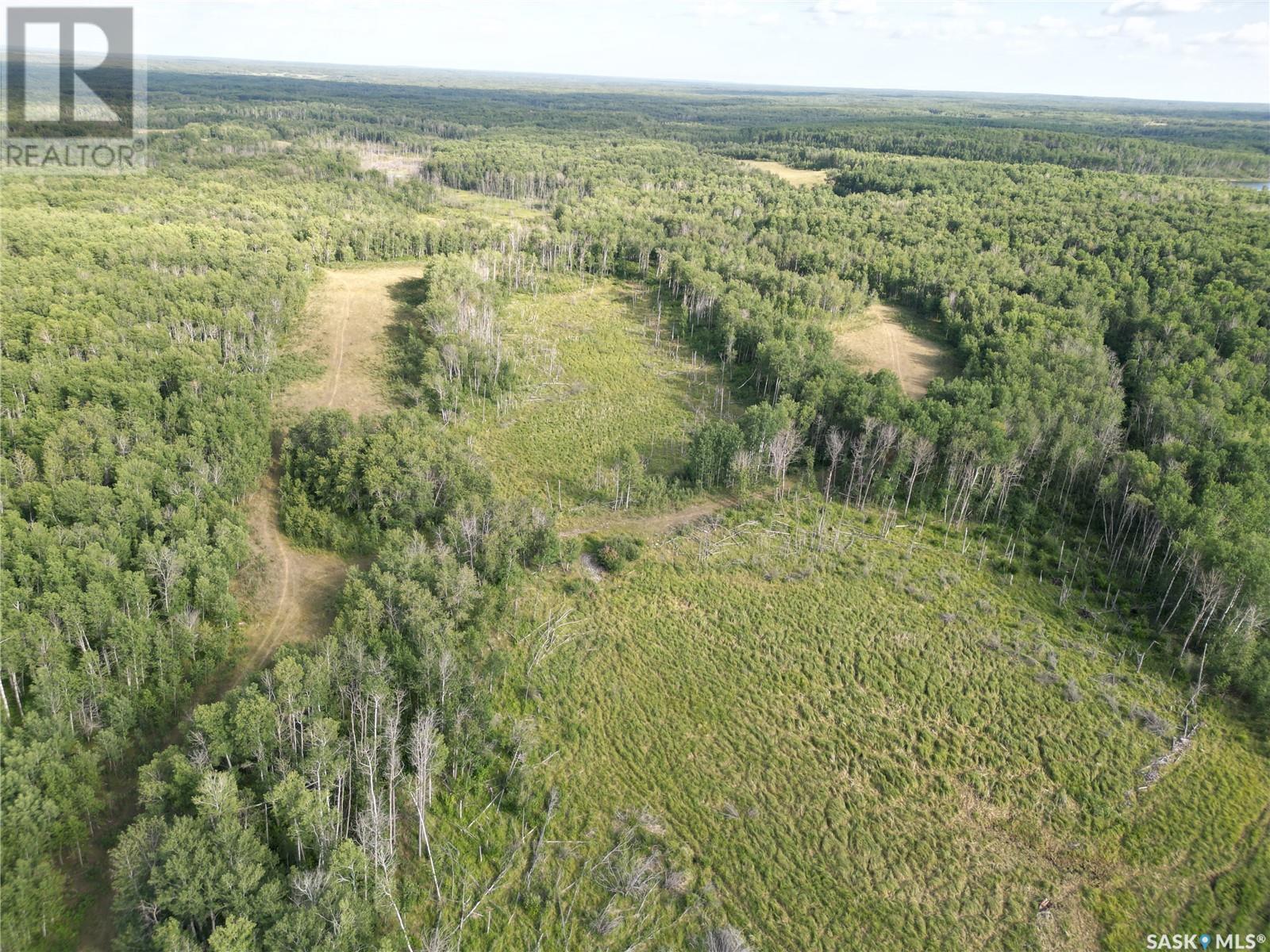 Cross-Half Section Of Pasture/recreational Land, Spiritwood Rm No. 496, Saskatchewan  S0J 2M0 - Photo 3 - SK014456