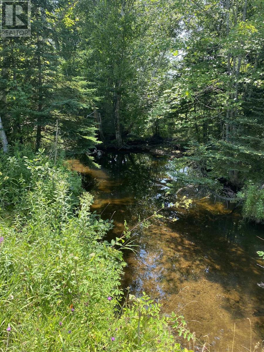 0 Grand Mira North Road, Marion Bridge, Nova Scotia  B1K 1B2 - Photo 2 - 202519488
