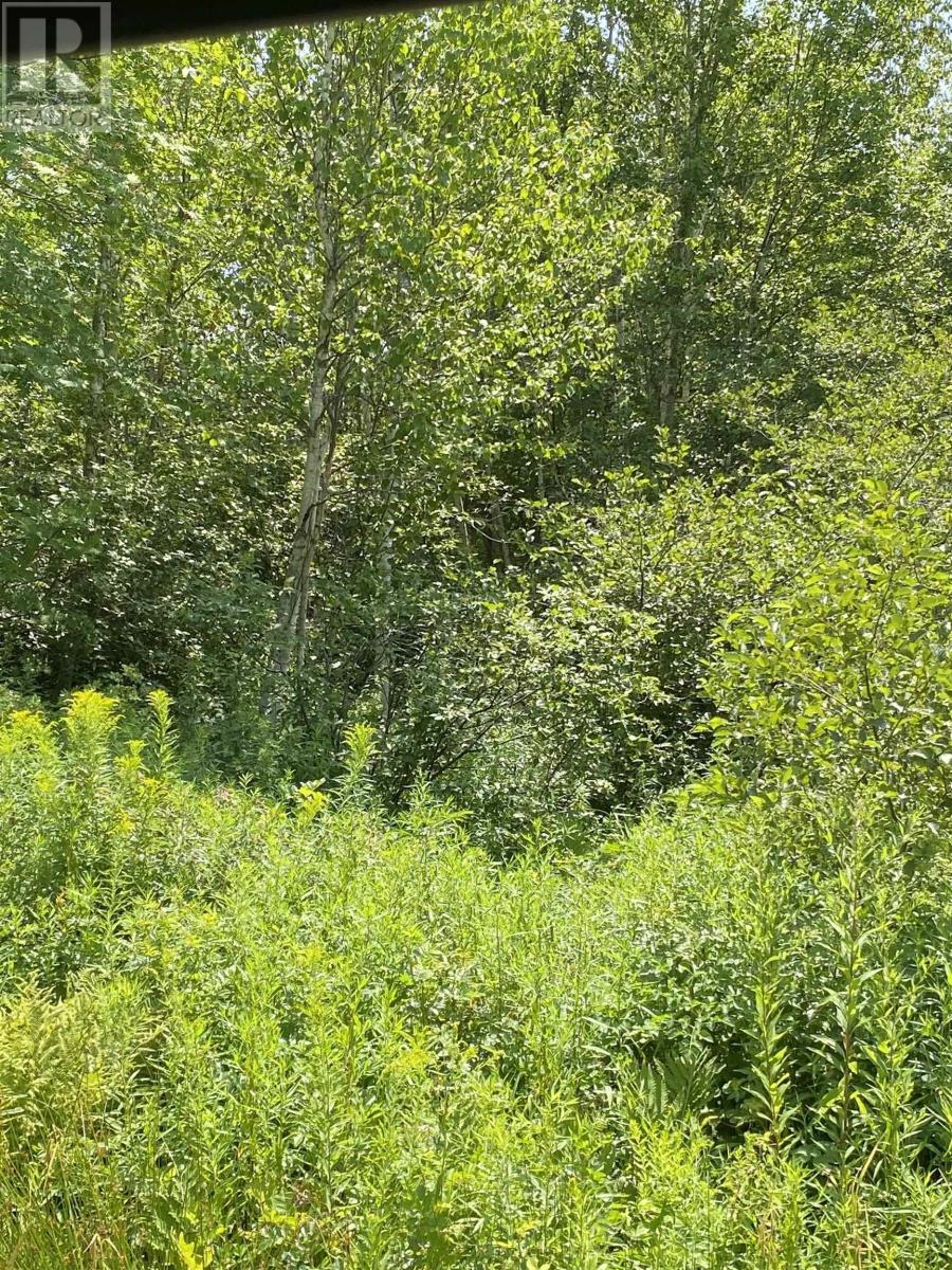 0 Grand Mira North Road, Marion Bridge, Nova Scotia  B1K 1B2 - Photo 3 - 202519488