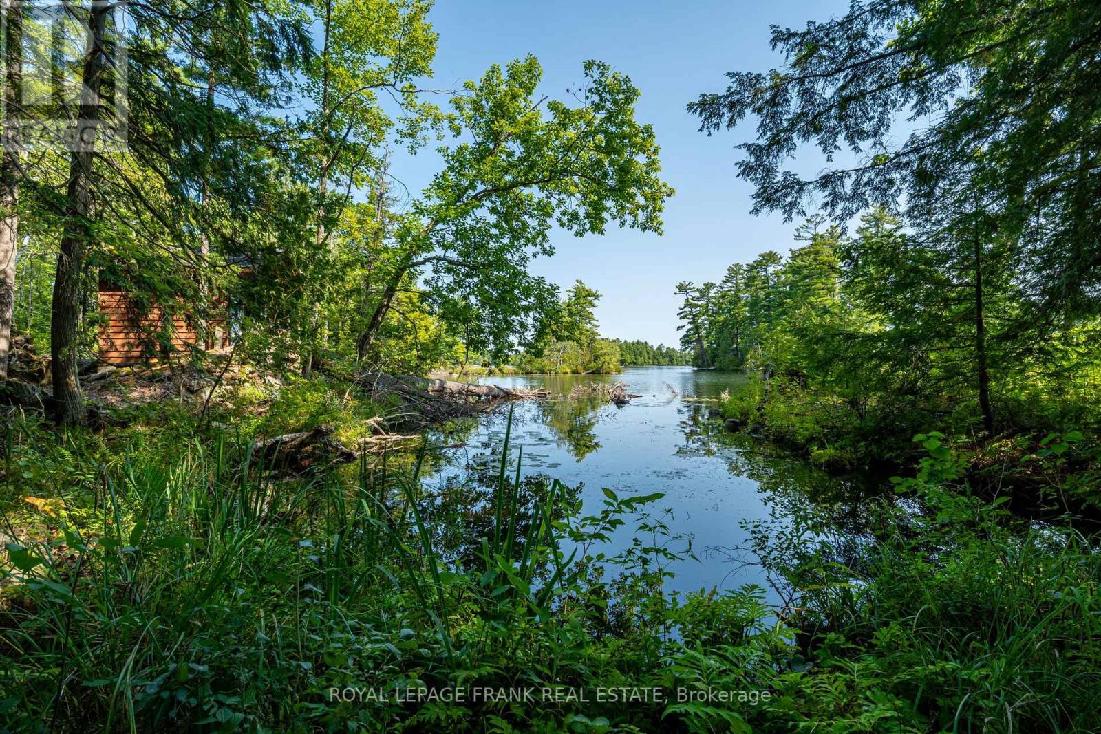 428 & 430 Island 7 Stoney Lake, Douro-Dummer, Ontario  K0L 2H0 - Photo 24 - X12322516