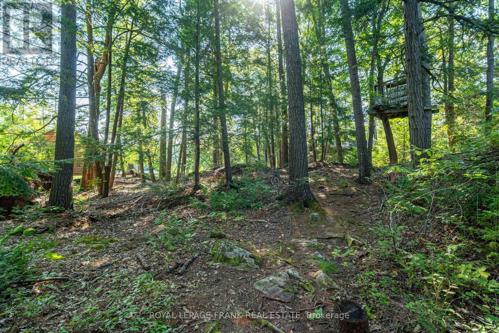 428 & 430 Island 7 Stoney Lake, Douro-Dummer, Ontario  K0L 2H0 - Photo 25 - X12322516