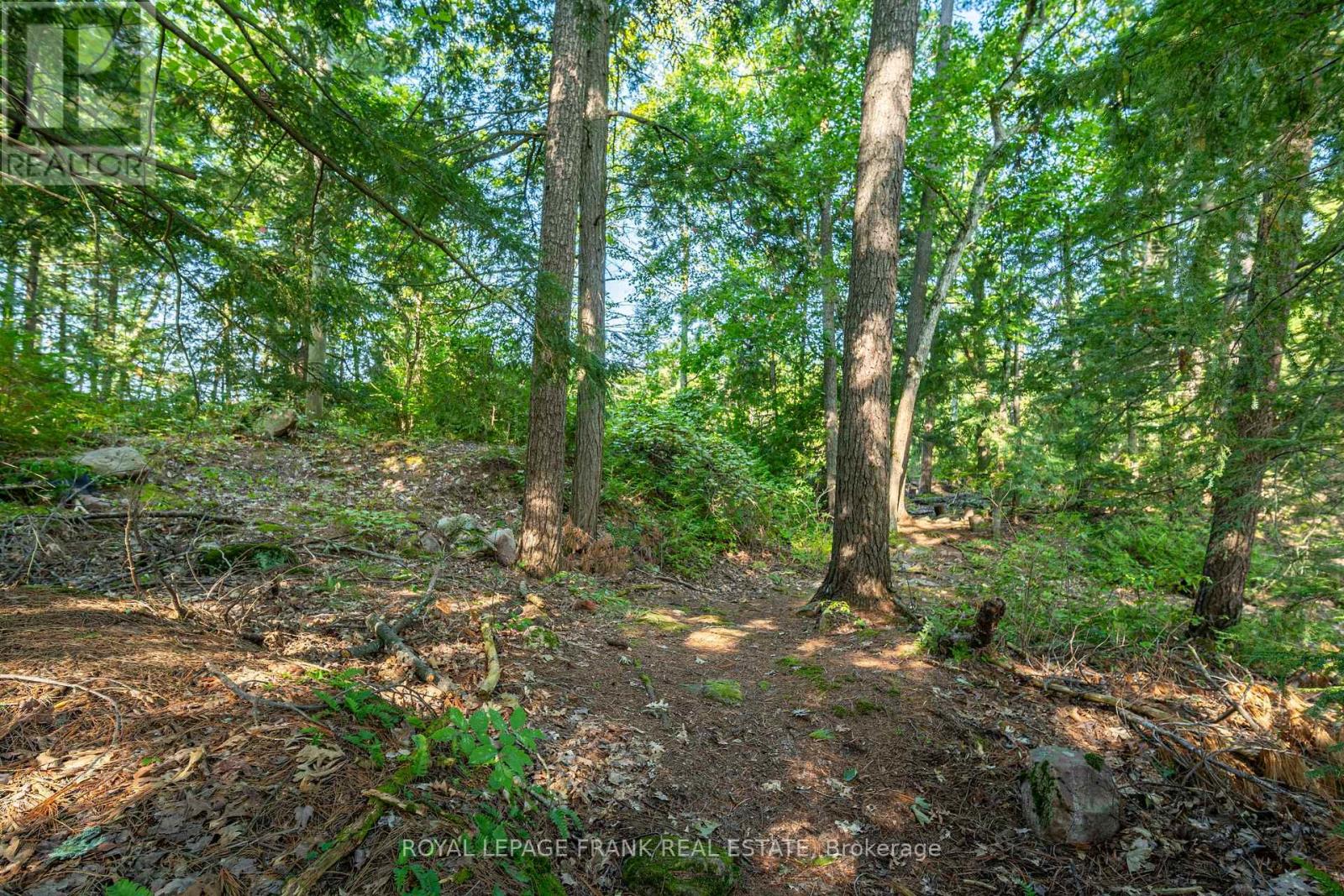 428 & 430 Island 7 Stoney Lake, Douro-Dummer, Ontario  K0L 2H0 - Photo 28 - X12322516