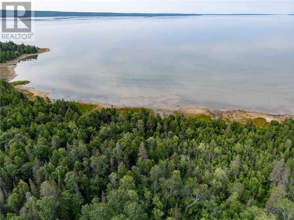 24 Cooper Court, Manitowaning, Ontario  P0P 1N0 - Photo 27 - 2123923