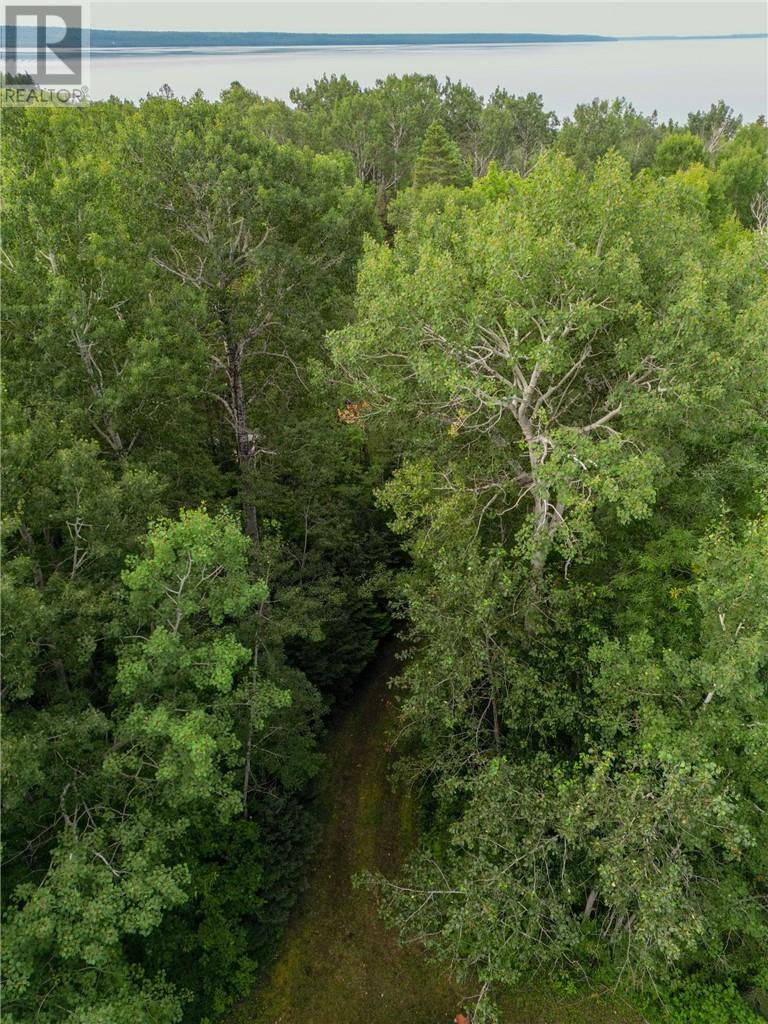 24 Cooper Court, Manitowaning, Ontario  P0P 1N0 - Photo 28 - 2123923
