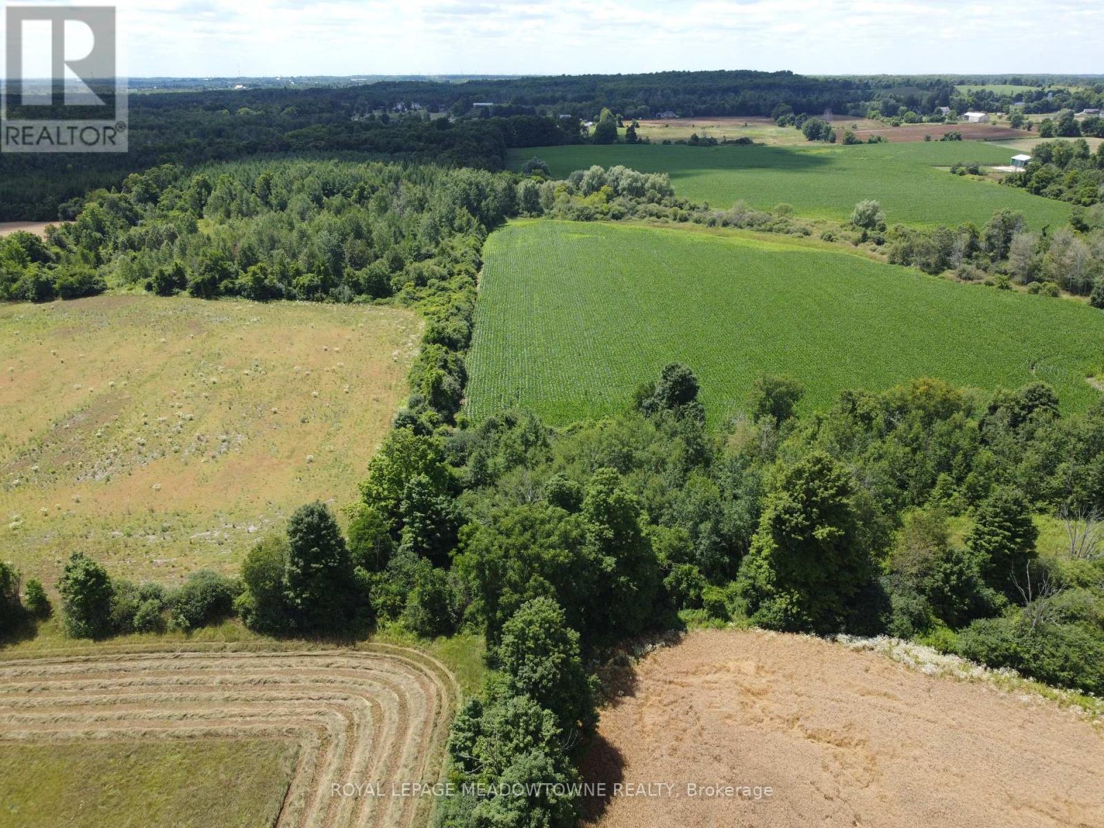 11080 First Nassagaweya Line, Milton, Ontario  L0P 1J0 - Photo 10 - W12322592