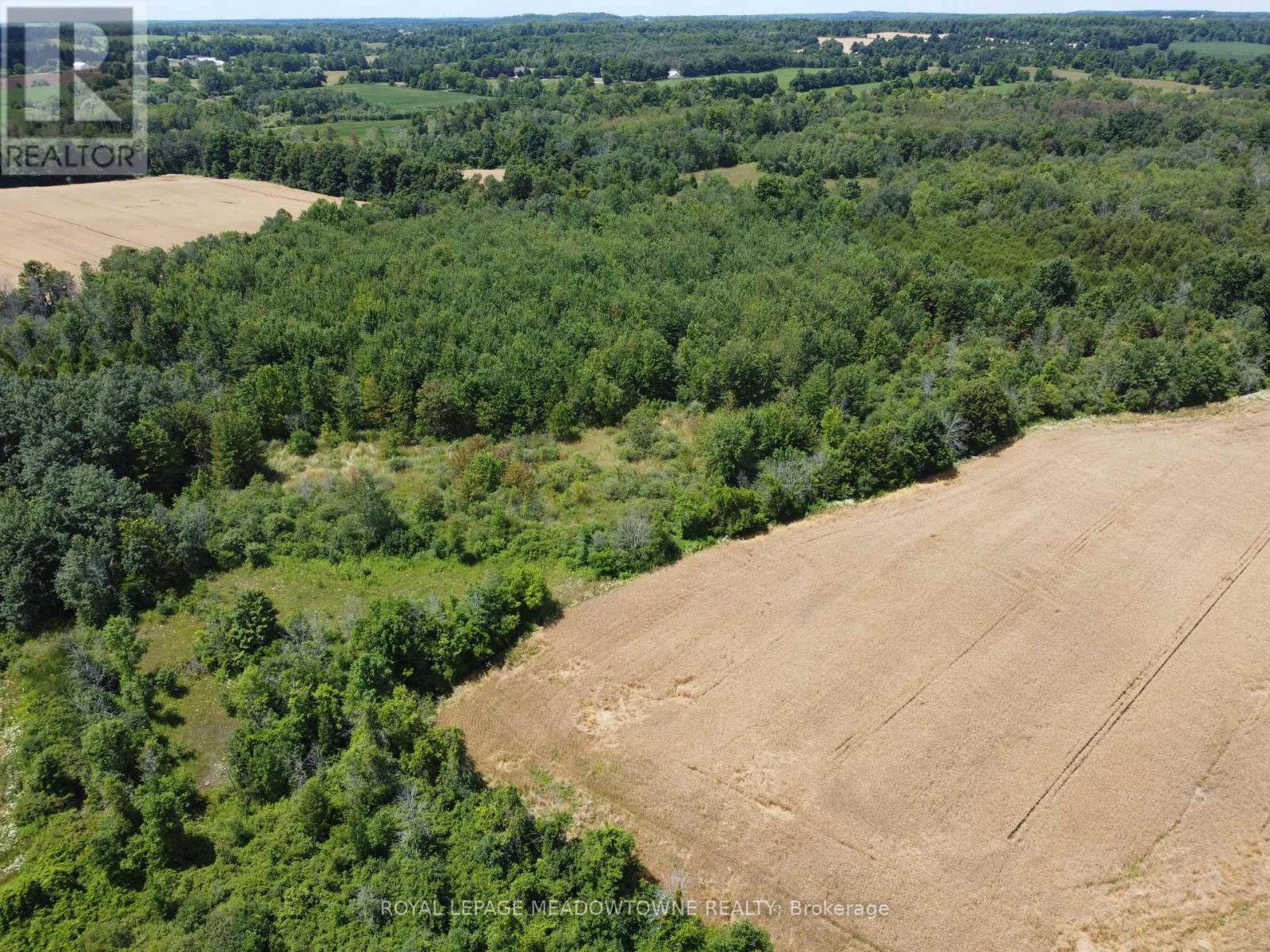 11080 First Nassagaweya Line, Milton, Ontario  L0P 1J0 - Photo 26 - W12322592