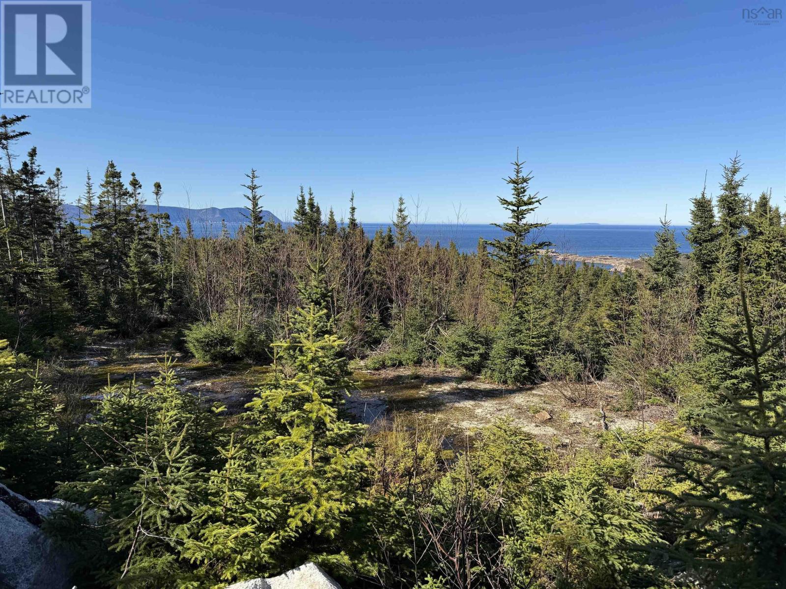 10-1 White Point Road, Smelt Brook, Nova Scotia  B0C 1N0 - Photo 6 - 202505583