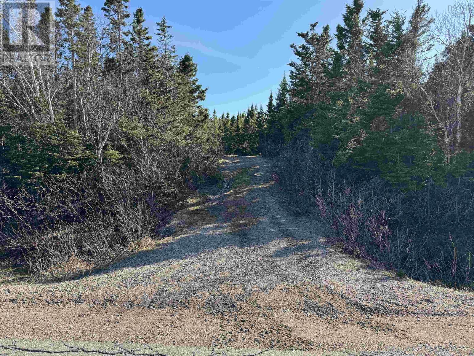10-1 White Point Road, Smelt Brook, Nova Scotia  B0C 1N0 - Photo 4 - 202505583
