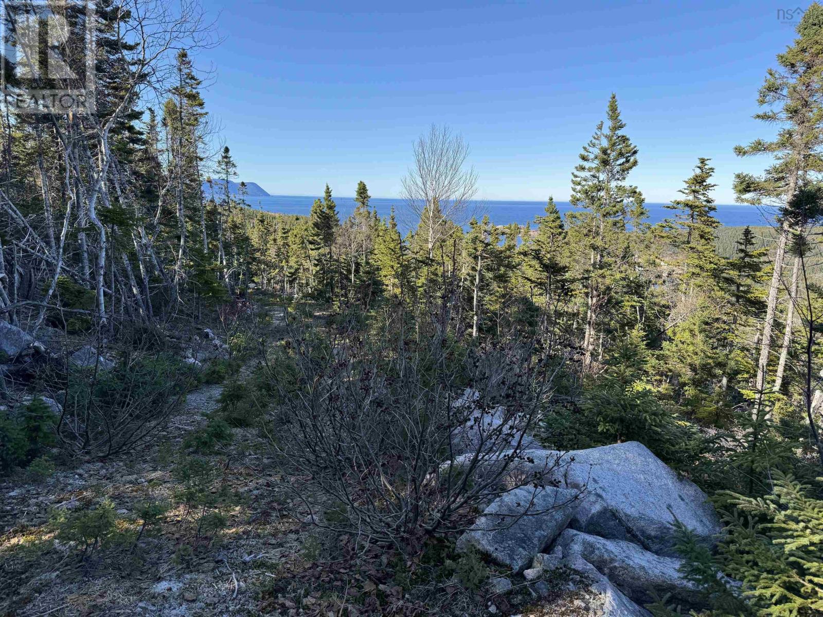 White Point Road, Smelt Brook, Nova Scotia  B0C 1N0 - Photo 10 - 202505584