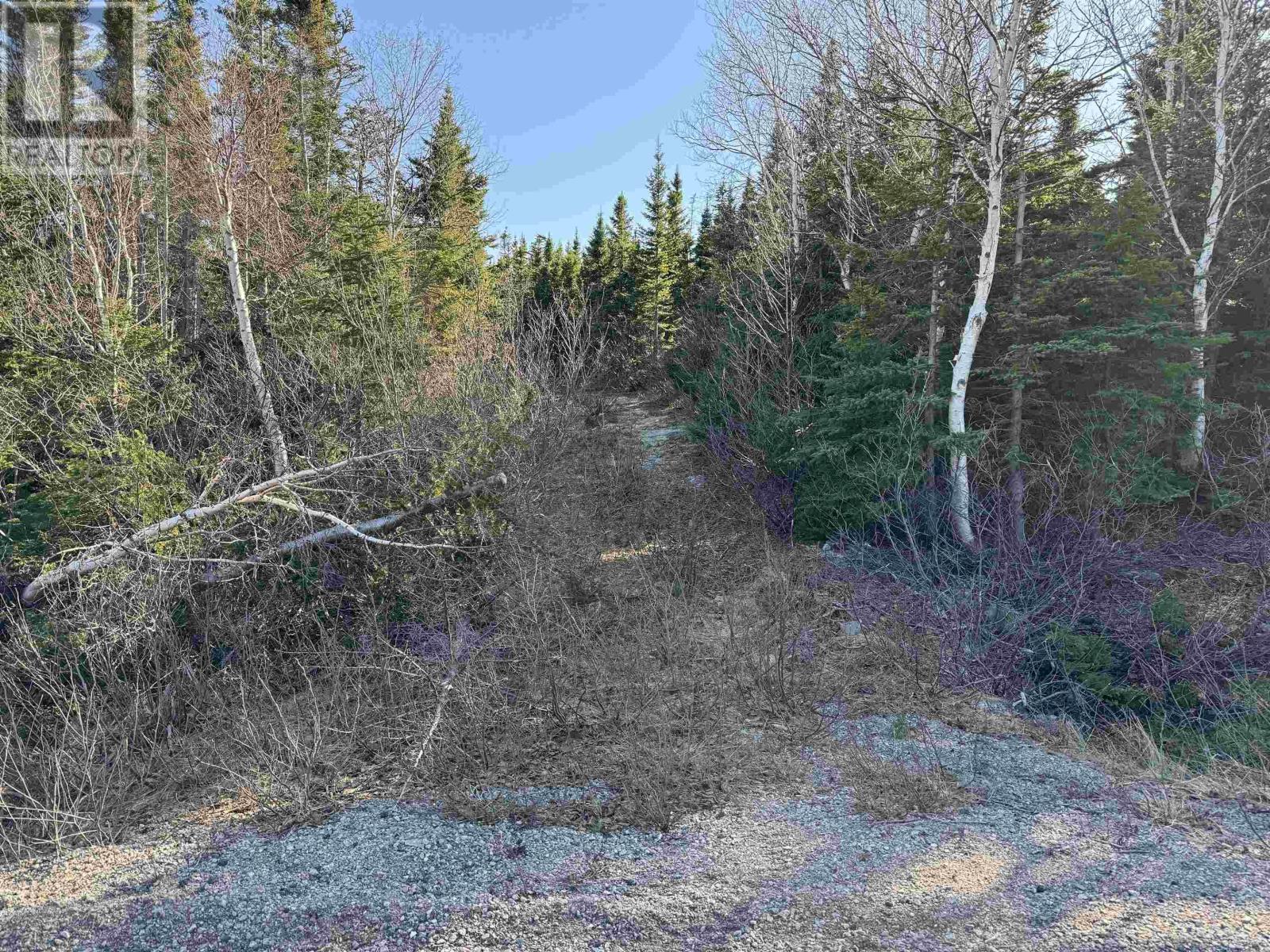 White Point Road, Smelt Brook, Nova Scotia  B0C 1N0 - Photo 4 - 202505584