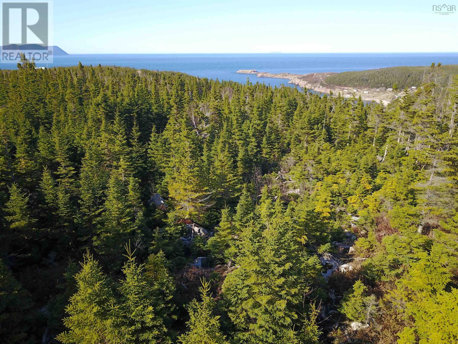 White Point Road, Smelt Brook, Nova Scotia  B0C 1N0 - Photo 6 - 202505584