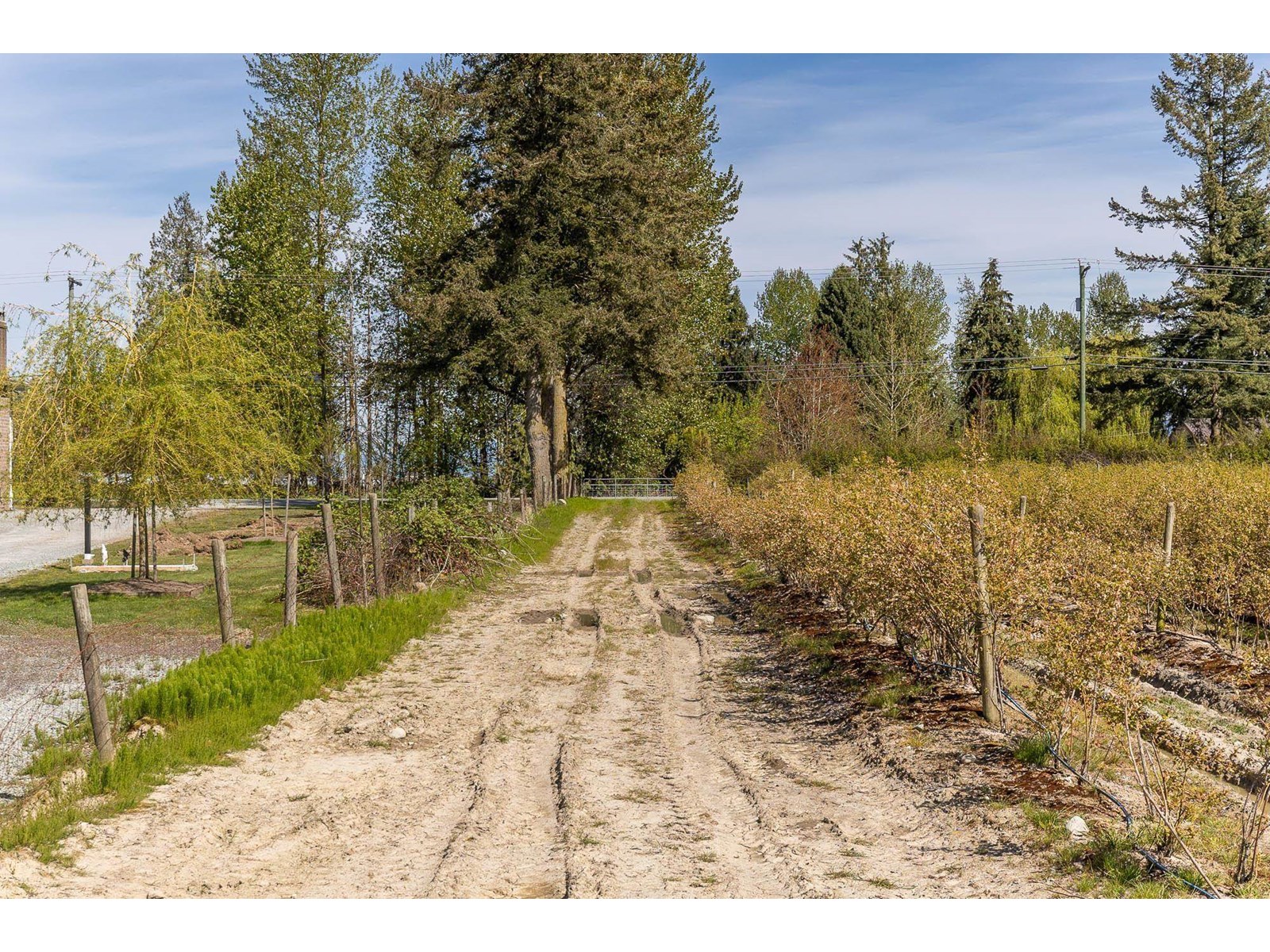 6905 Bradner Road, Abbotsford, British Columbia  V4X 2C6 - Photo 8 - R3003706