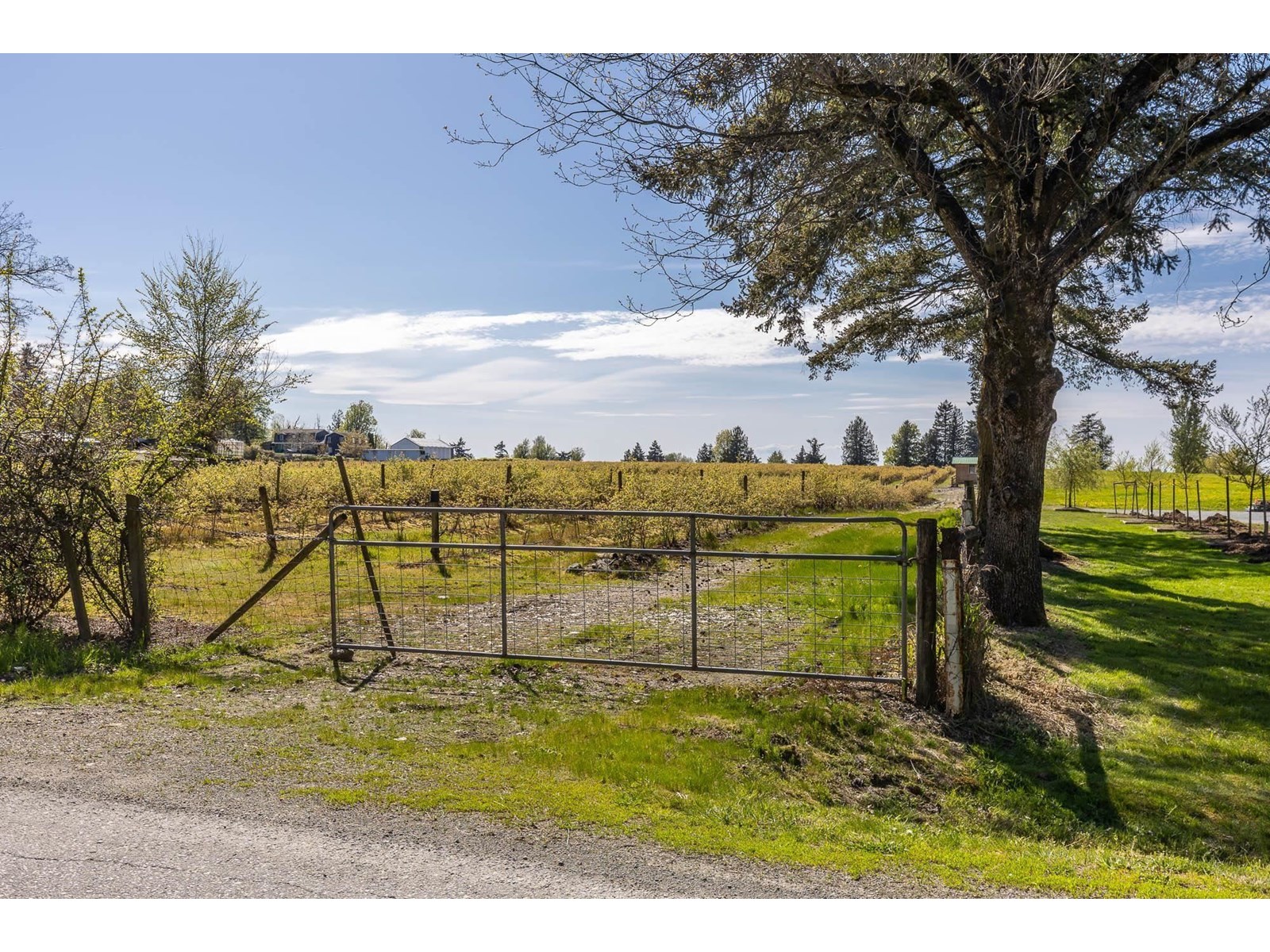 6905 Bradner Road, Abbotsford, British Columbia  V4X 2C6 - Photo 7 - R3003706