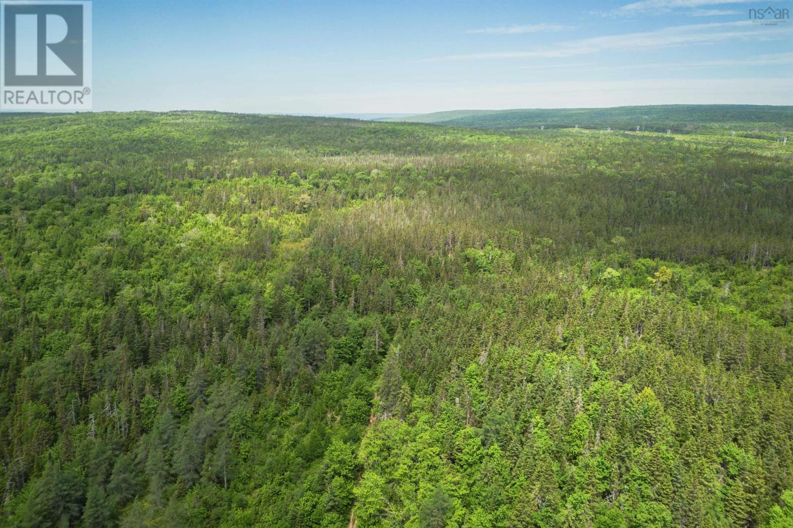 197 + / - Back Road, Thibeauville, Nova Scotia  B0E 1V0 - Photo 1 - 202511429