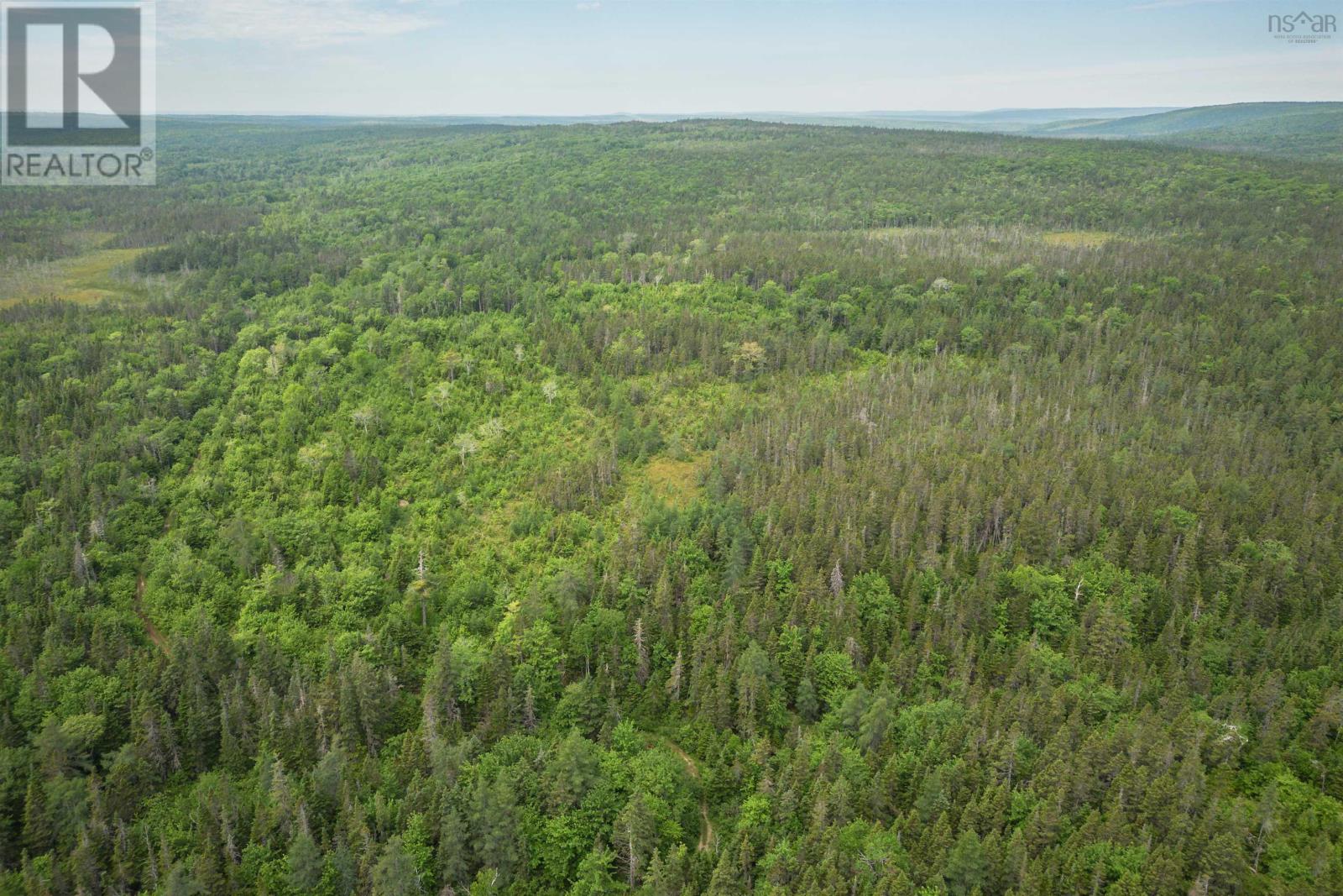 197 + / - Back Road, Thibeauville, Nova Scotia  B0E 1V0 - Photo 10 - 202511429