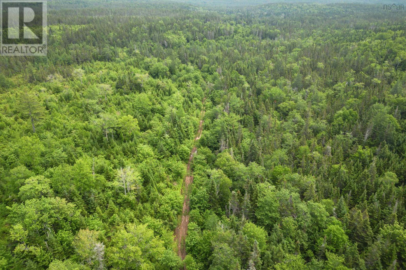 197 + / - Back Road, Thibeauville, Nova Scotia  B0E 1V0 - Photo 11 - 202511429