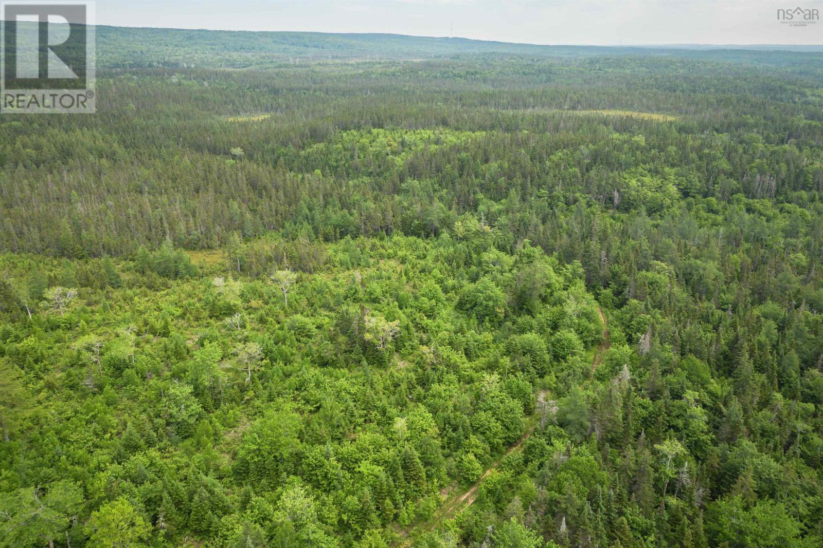 197 + / - Back Road, Thibeauville, Nova Scotia  B0E 1V0 - Photo 13 - 202511429