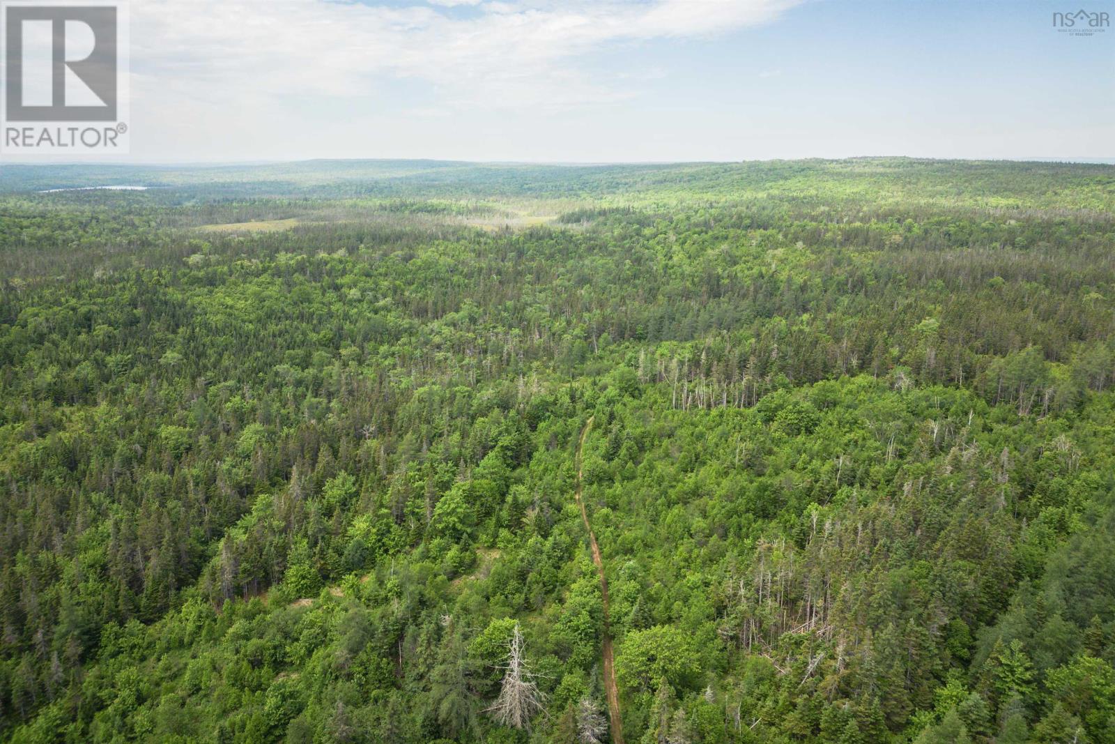 197 + / - Back Road, Thibeauville, Nova Scotia  B0E 1V0 - Photo 6 - 202511429